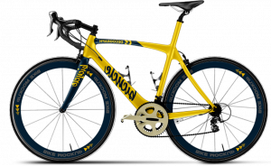 Trek Domane AL 2